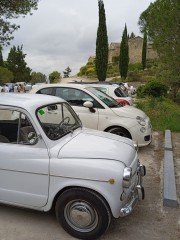 LA TOSSA DE MONTBUI