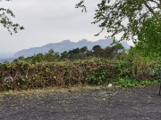 CALÇOTADA VACARISSES